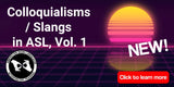 New! Colloquialisms / Slangs in ASL, Vol. 1: USB Flash Drive + Free S&H