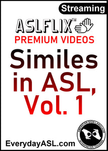 NEW! Similes in ASL, Vol. 1 Film in USB Flash Drive